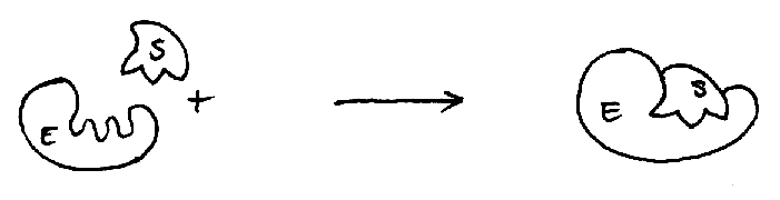 substrat