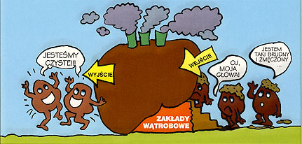 test_watroba.jpg