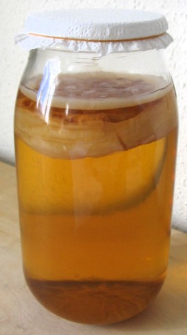 kombucha